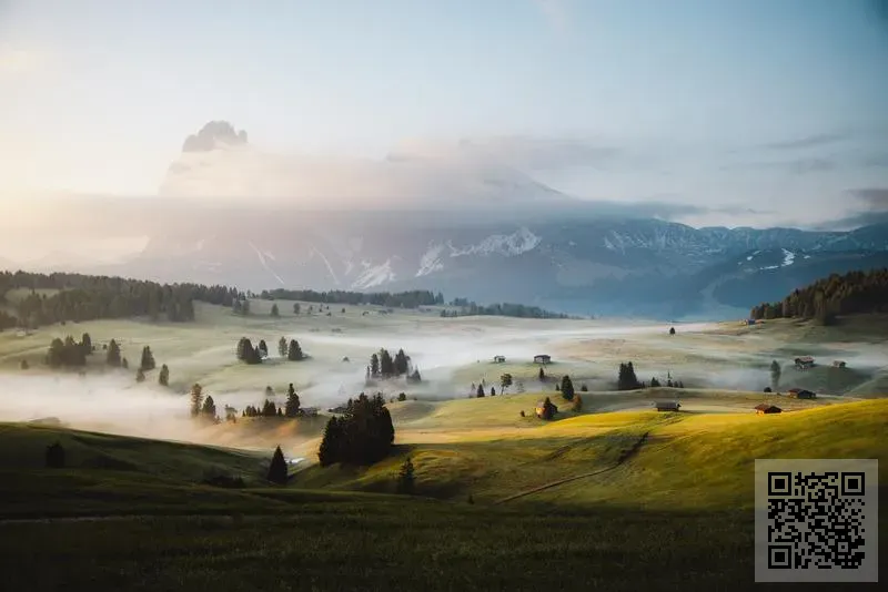 小蔥金融有限公司