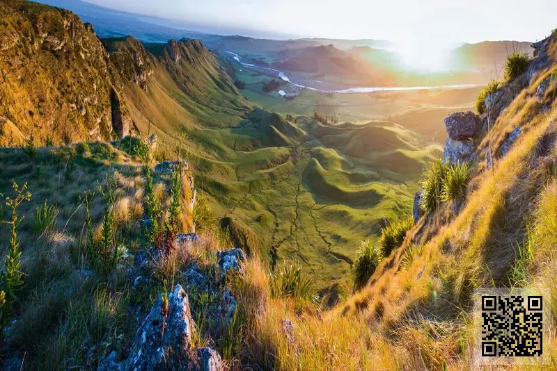 誠惠國際金融有限公司