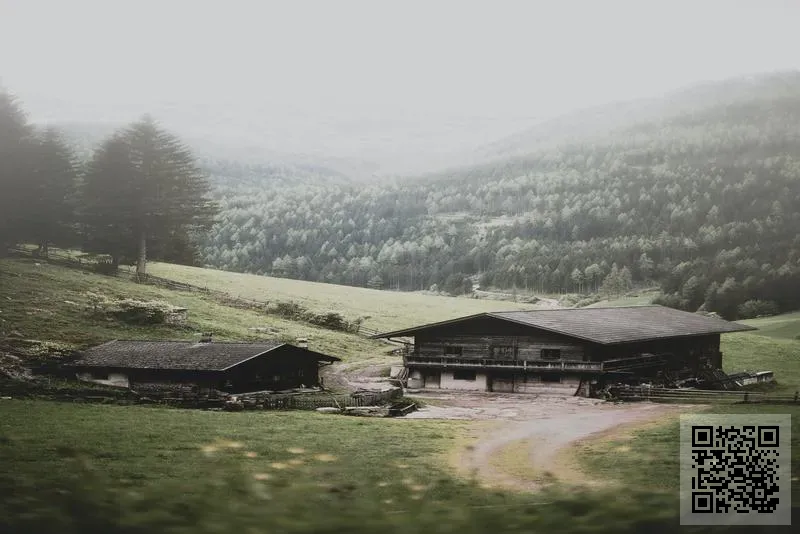 Techbob Academy Tsuen Wan Limited