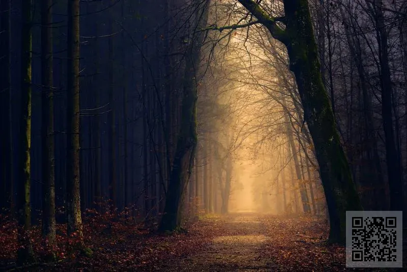 金滙昇有限公司