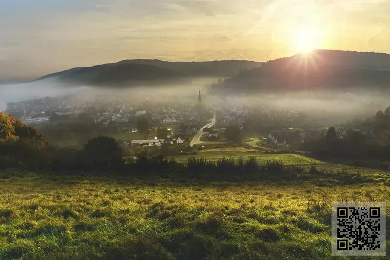 香港新宏豐貿易有限公司