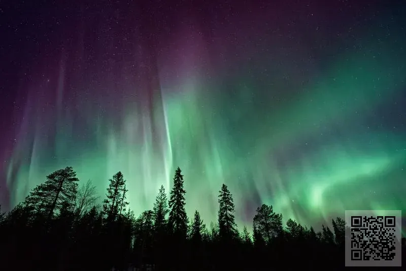 香港華鎂電子電器有限公司