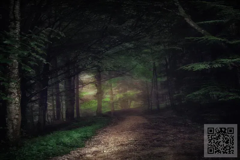 聯創紡織有限公司