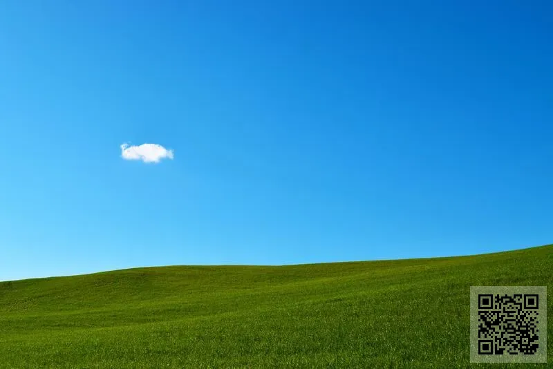 瑞勝科技實業有限公司