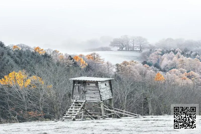 藝昌工程有限公司