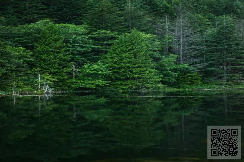 中鋼集團(香港)有限公司