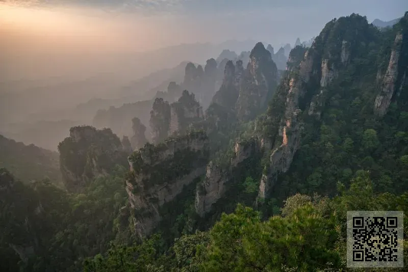 J&A BROTHERS LIMITED