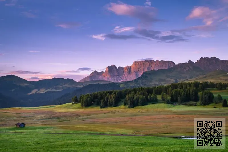 香港威特科技有限公司