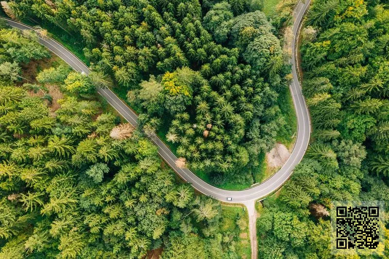 展峯環保發展有限公司