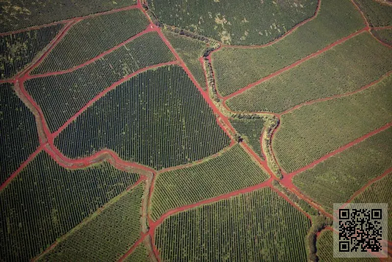 WONANG TRADING COMPANY LIMITED