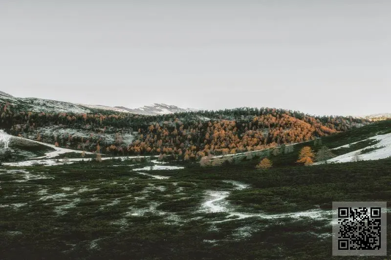 樂之優兒(鰂魚涌)有限公司