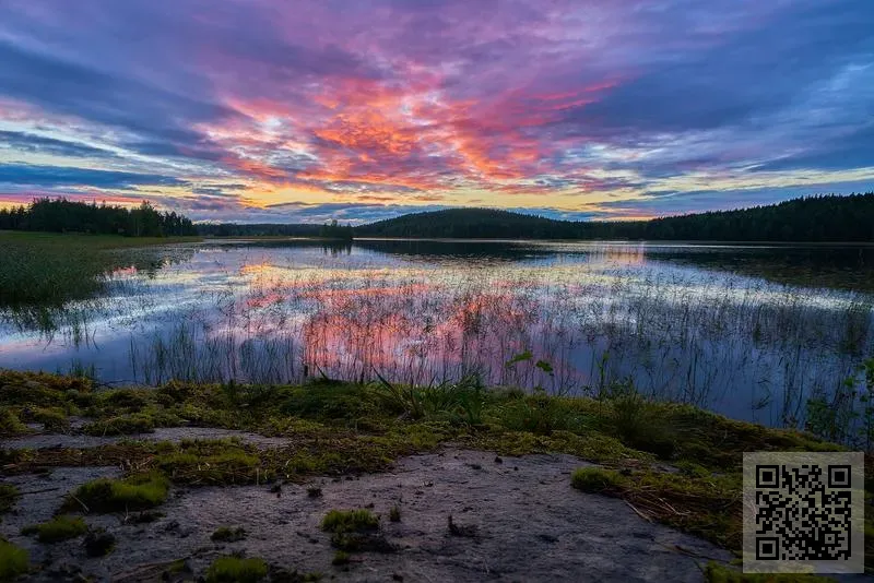 佐敦道投資管理有限公司
