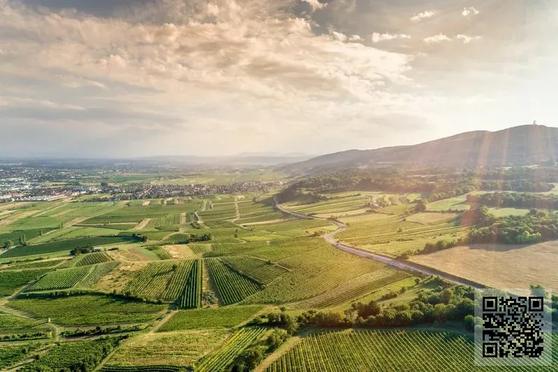 香港哈羅國際工貿有限公司