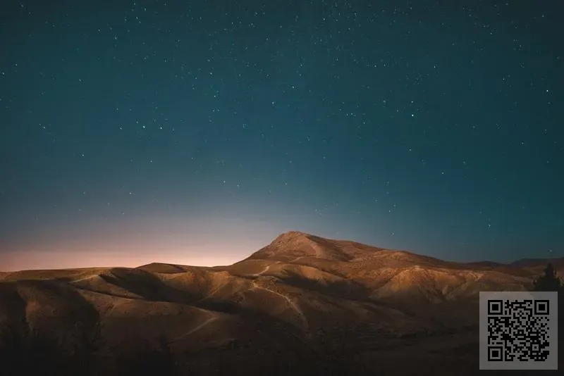 H2 INVESTMENT (HOLDING) LIMITED