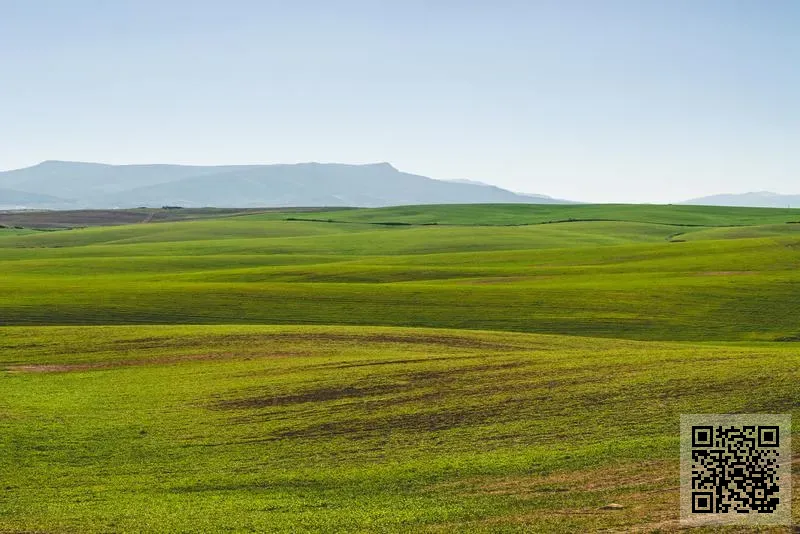101領先有限公司