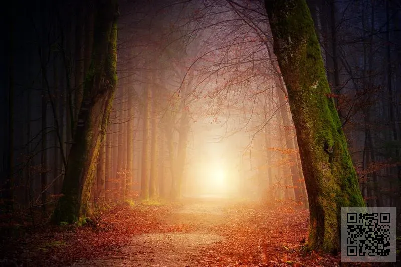 Stem Capital Partners 5 Limited