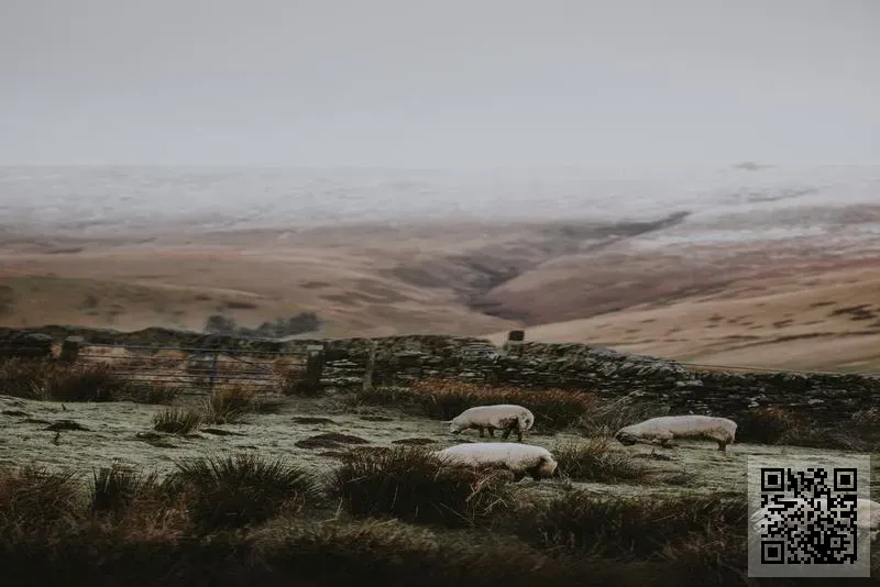 PrimeStreet Capital Limited