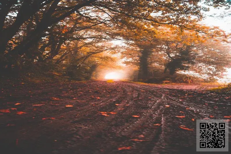 Guardian Group Asia Limited