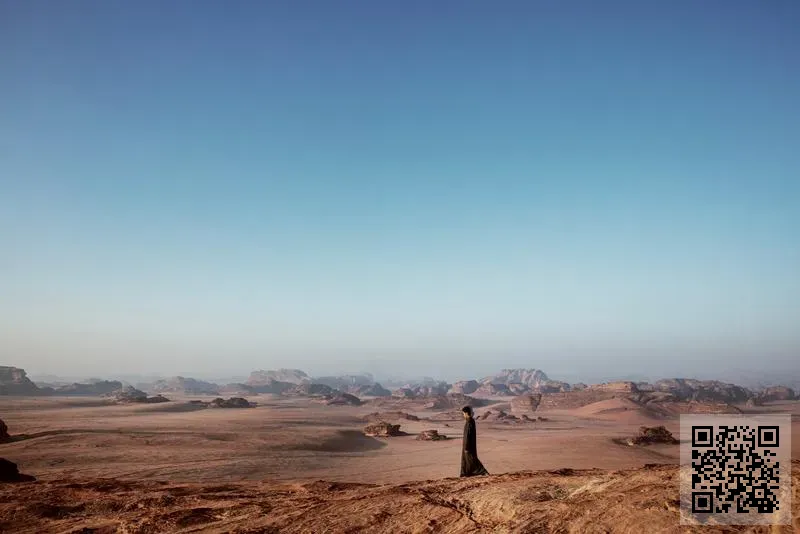 香港大獅國際集團有限公司