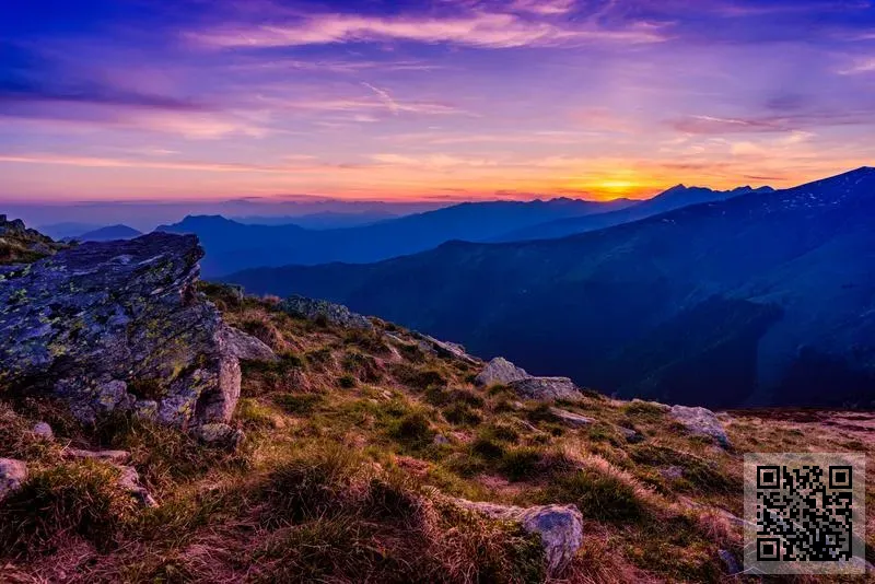 聚峰股份有限公司