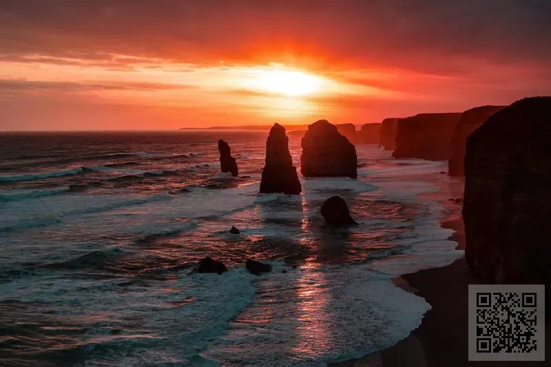 Flaxta Investment HK Limited