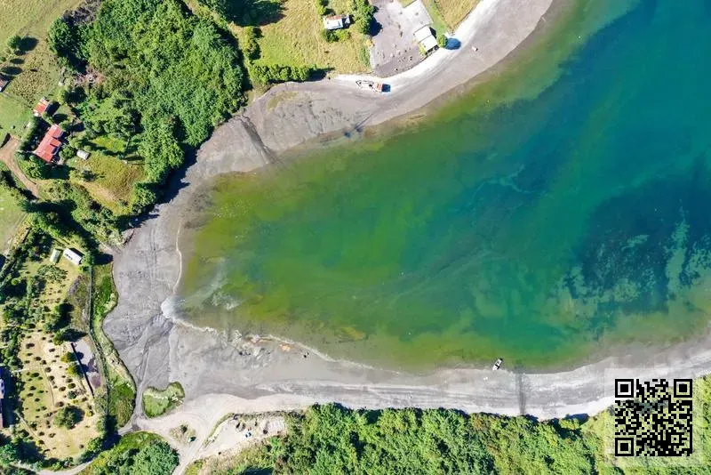 香港宏久科技有限公司