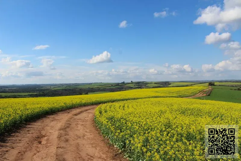 Passion Music Academy Limited