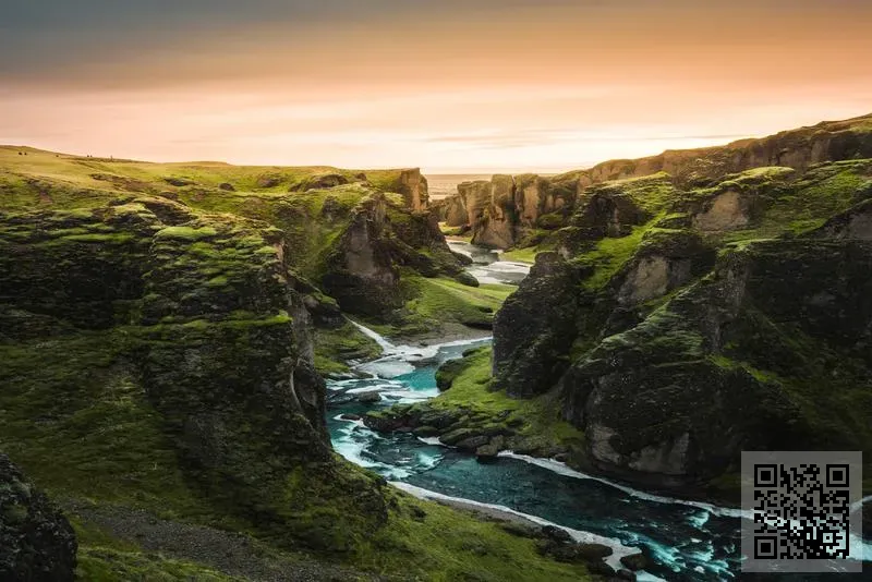 雅緻壹點心(香港)有限公司