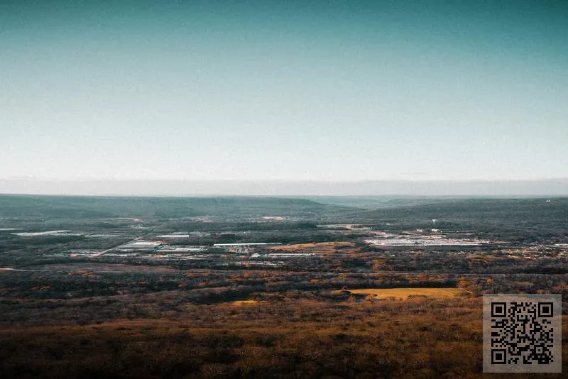 香港金達利貿易有限公司