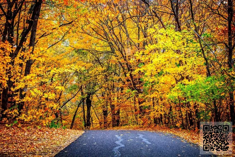 Peninsula Coffee Limited