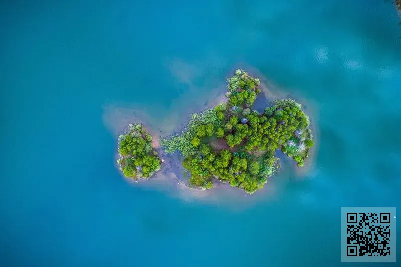 逸晟寰球(中國)投資有限公司