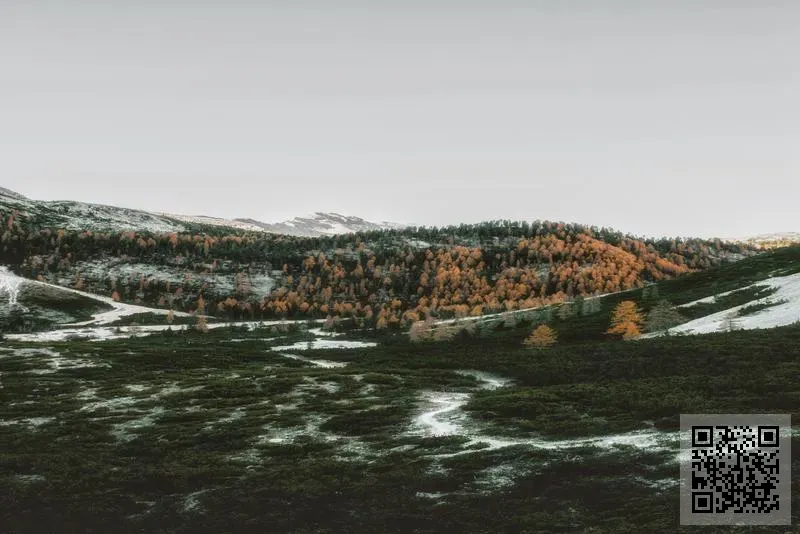 精工模具成型有限公司