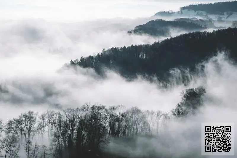 中國電氣裝備有限公司