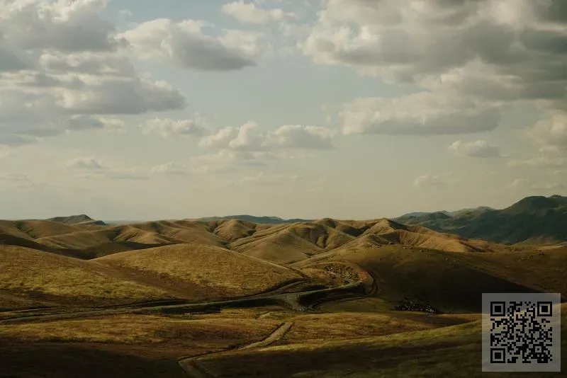 中華無量光壽聯合總會有限公司