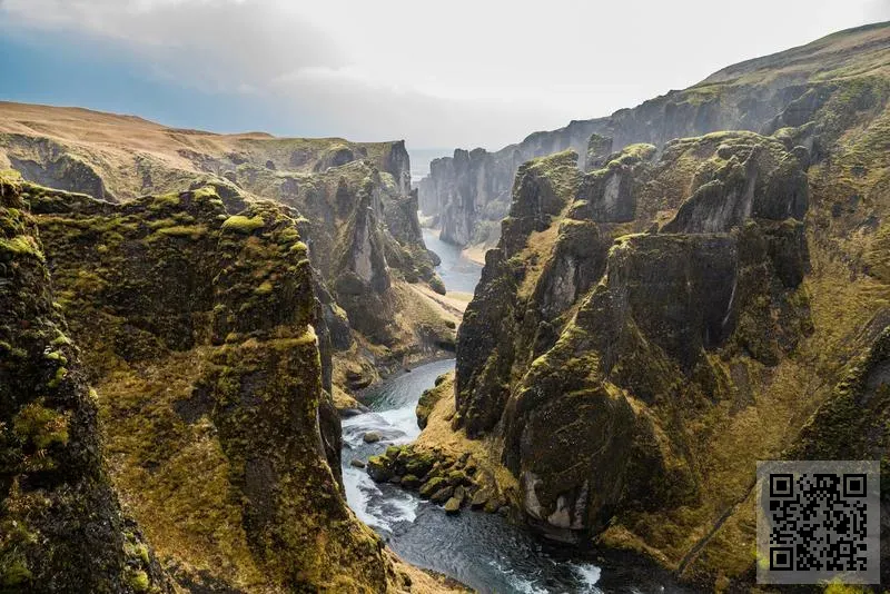 翼龍(香港)有限公司