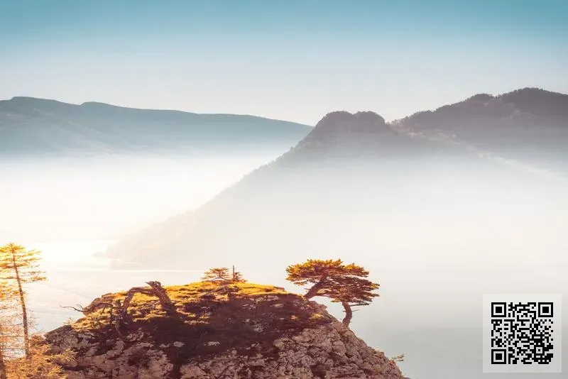 太平洋農貿有限公司