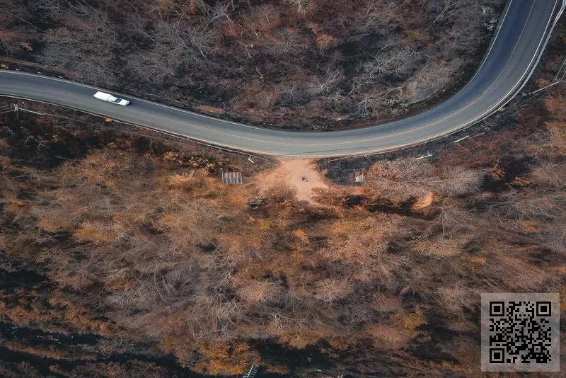 香港瑗鶴時裝國際有限公司