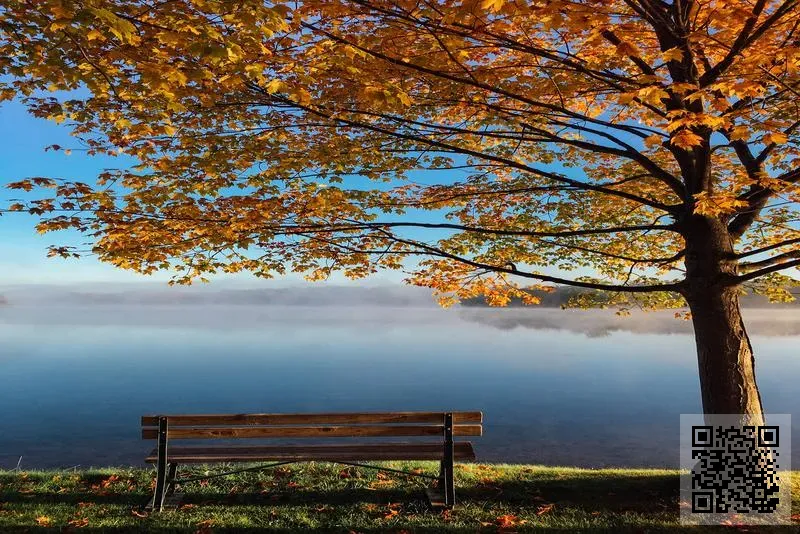 EASEPATH INTERNATIONAL LIMITED