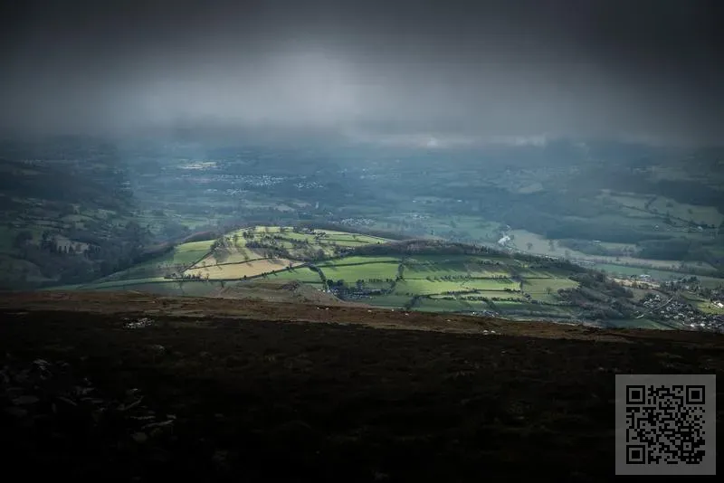 天雨商貿有限公司