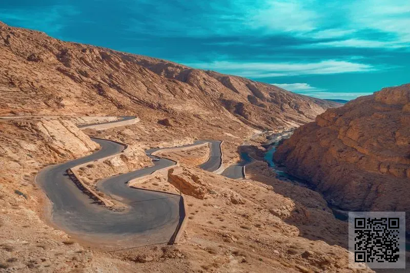 旭歐達國際貿易(香港)有限公司