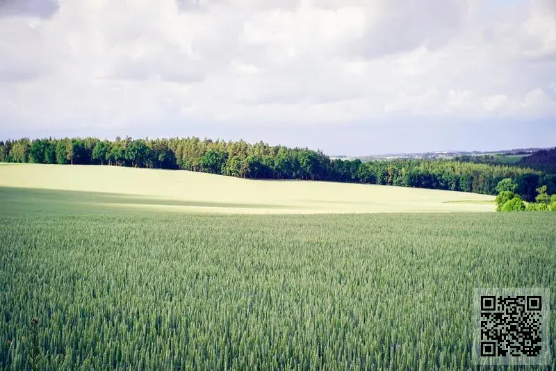 GIFT EXPRESSIONZ LIMITED