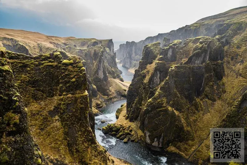 香港倍增資本管理有限公司