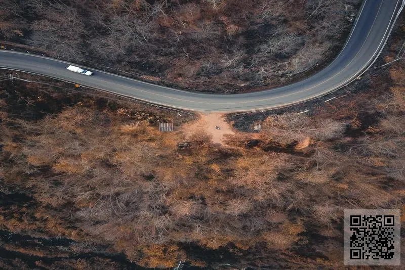 POINT TRADING., LIMITED