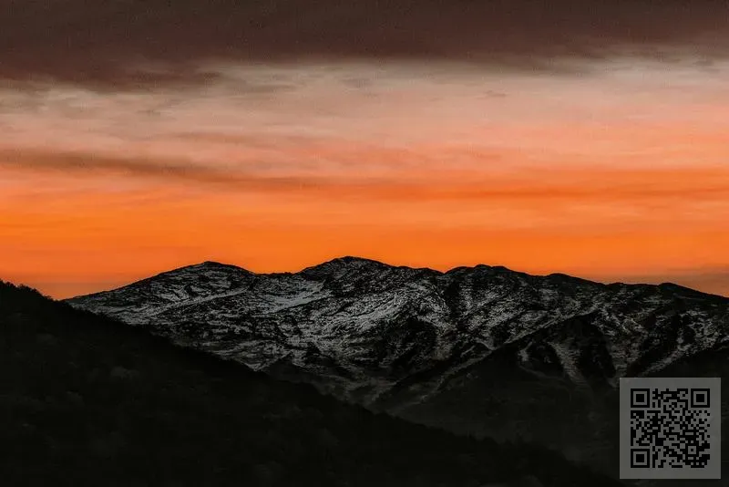 崇德科技 (香港) 有限公司