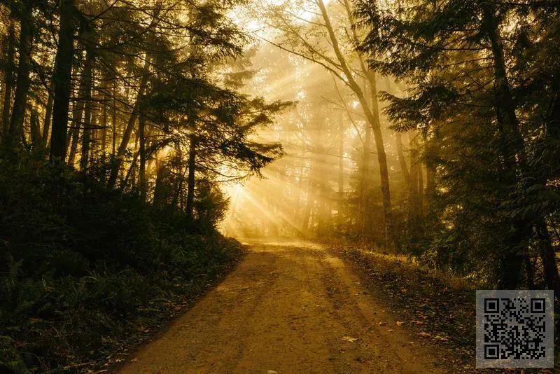 朝虹國際(香港)有限公司