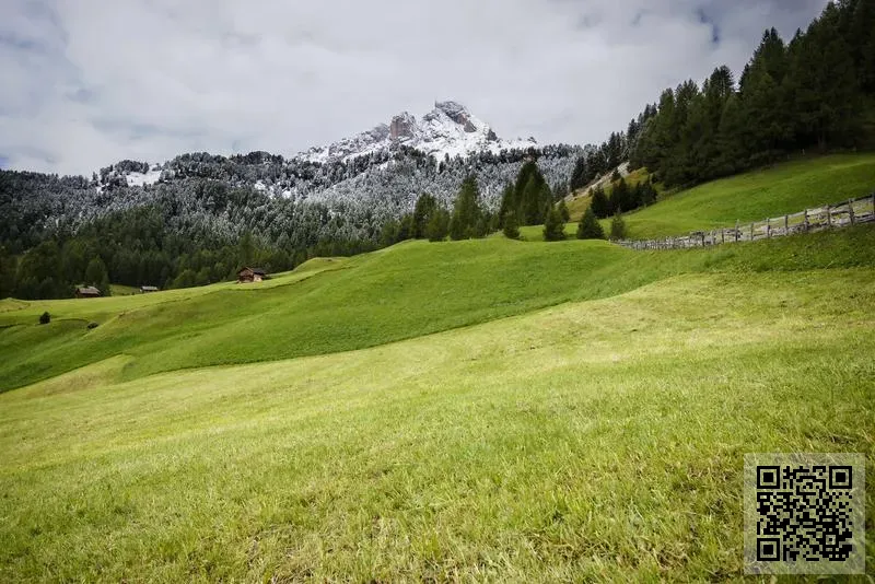 澳中教育服務有限公司