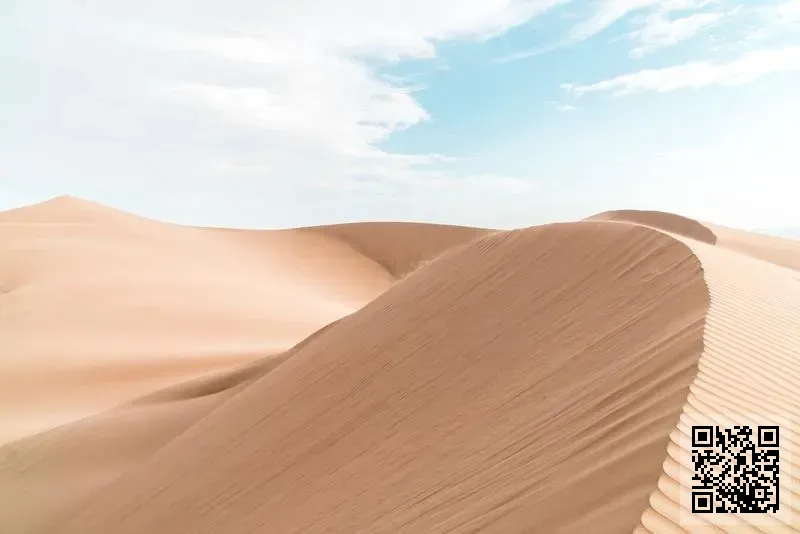 國際應急安全產業聯盟有限公司