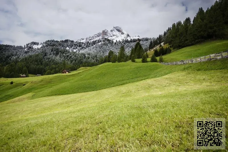 西格瑪韜有限公司