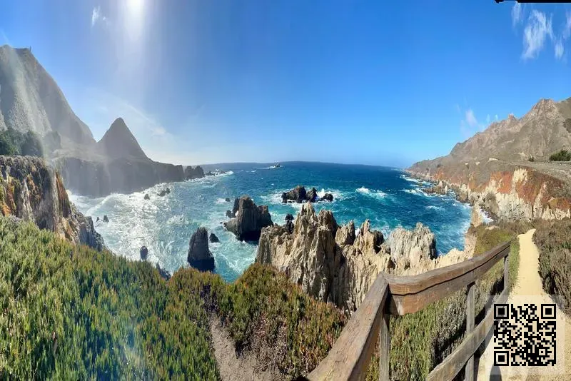 德勤(香港)科技有限公司