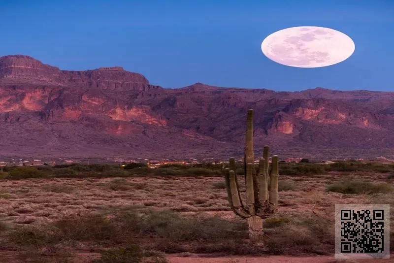 深圳市觸發者科技有限公司